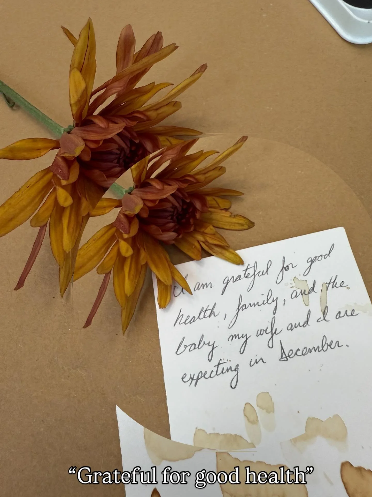 ✨ Beside the paintings at this week&rsquo;s workshop, I found these handwritten reminders&hellip;gentle proof of why I keep showing up. On the days when only 2 people sign up or 22, when the emails go quiet, when inspiration feels hard to find. it&rs