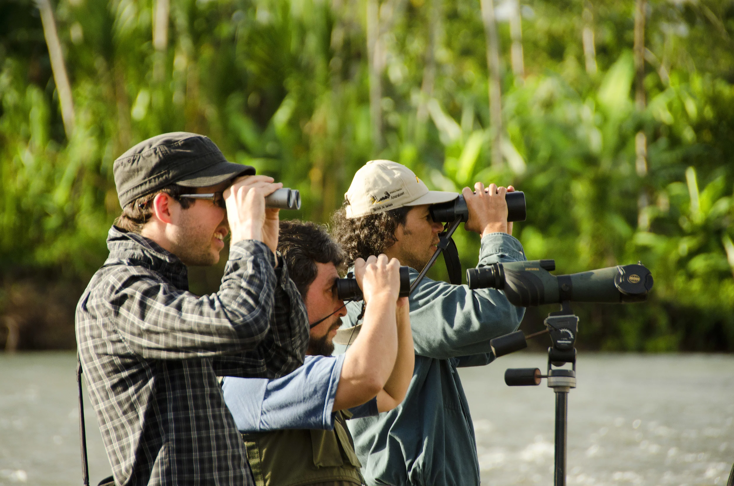 Bird_Watching.jpg