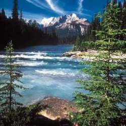 Whatever Your Heart Desires…