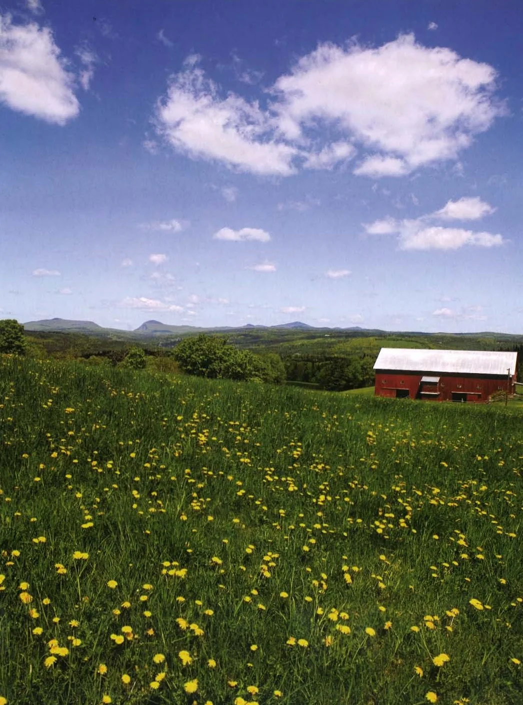 The Green Mountain State of Vermont