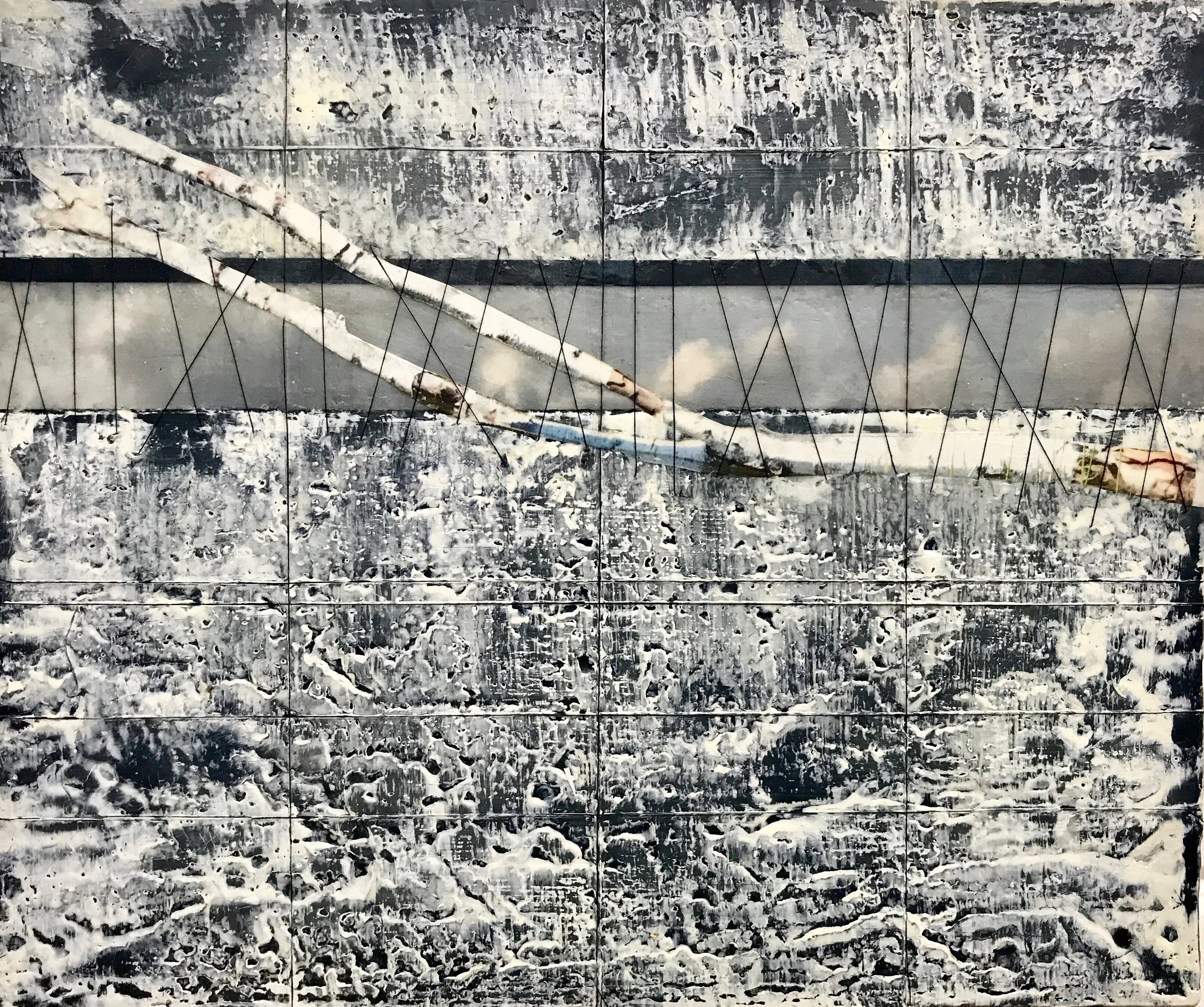 birch branch.jpg