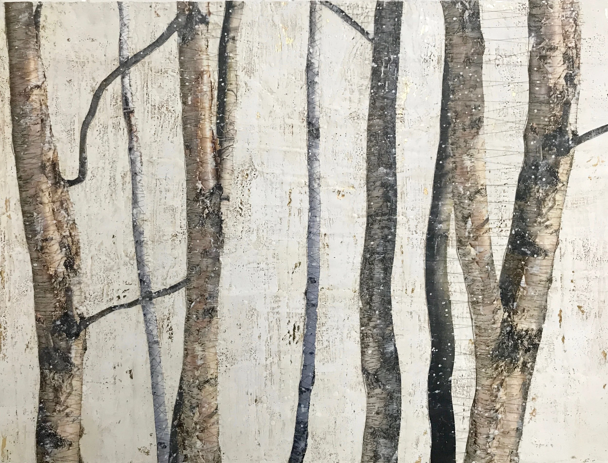 silver birch 4.jpg