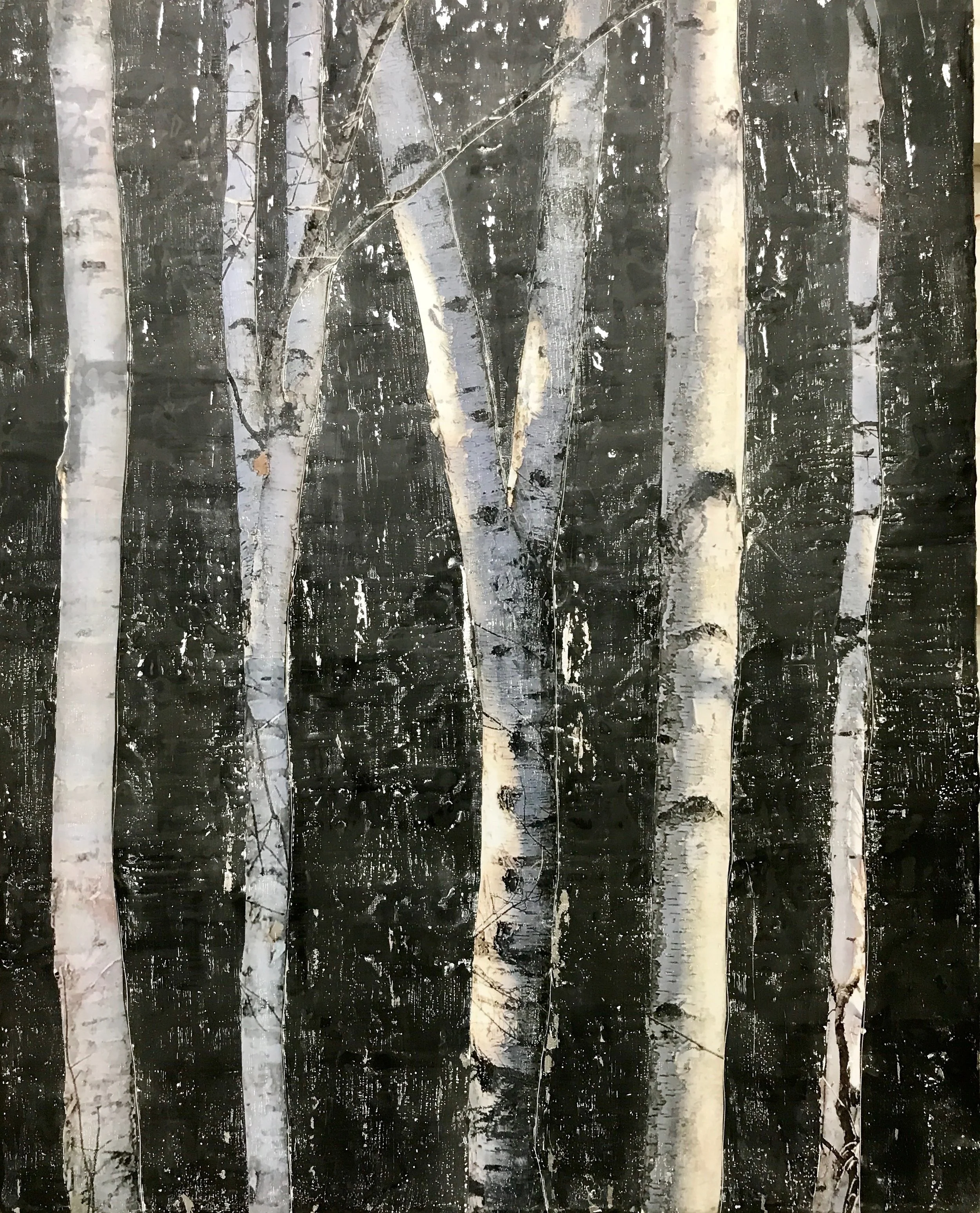 new black and white birch.JPG