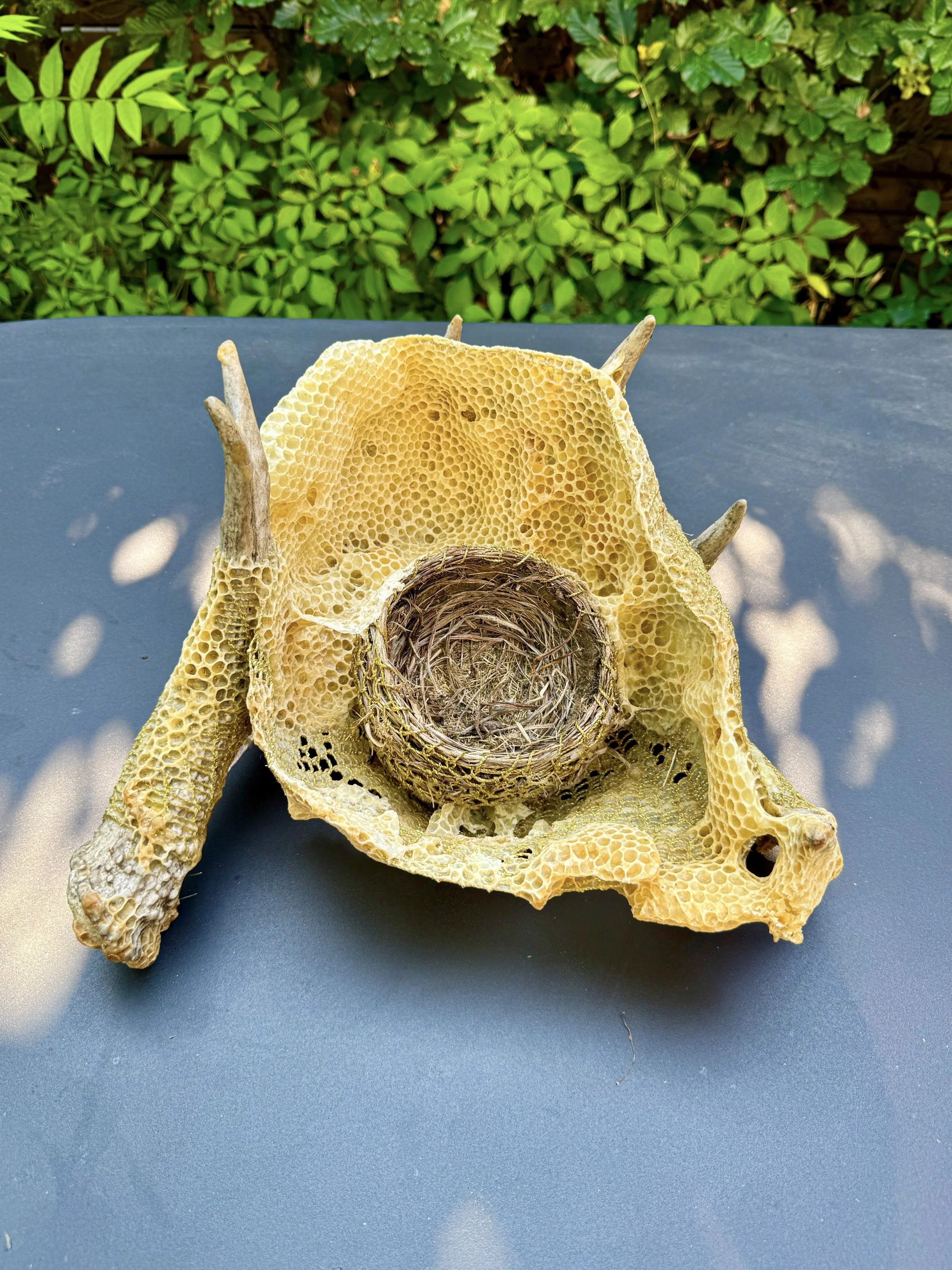 22FC8861-6783-442F-B538-ACDFA82DFDBB 2.jpeg