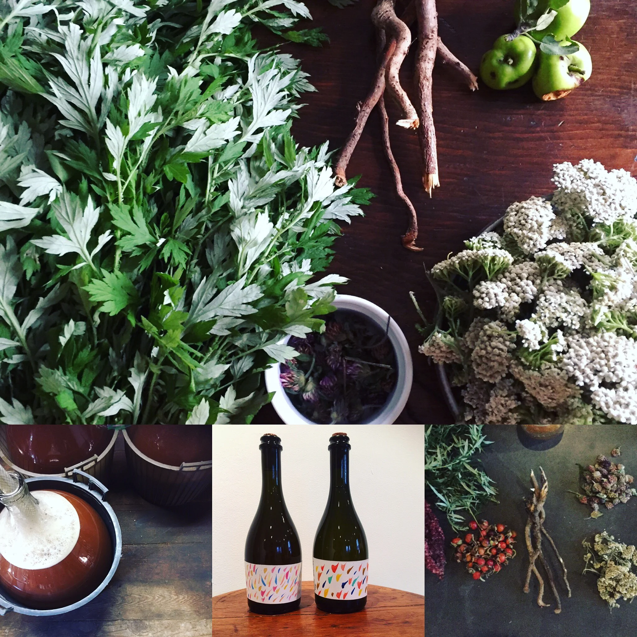  Taste and learn about natural wine making with Ancestral Flora