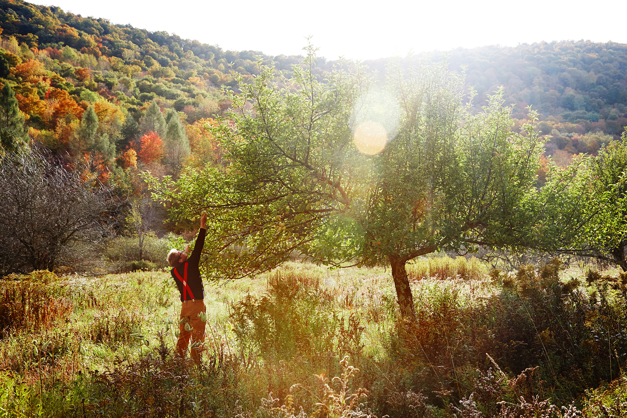   WAYSIDE CIDER &amp; TAPROOM &nbsp;"mountain ciders made in the catskills"    