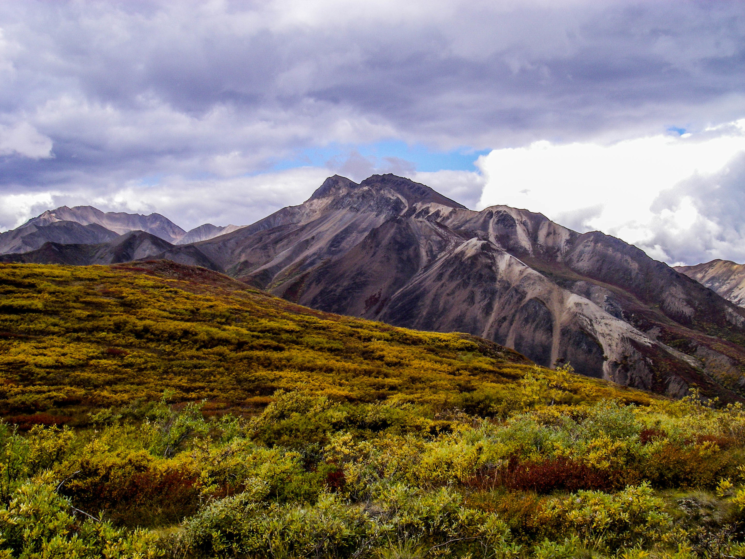 Denali - Polychrome Pass