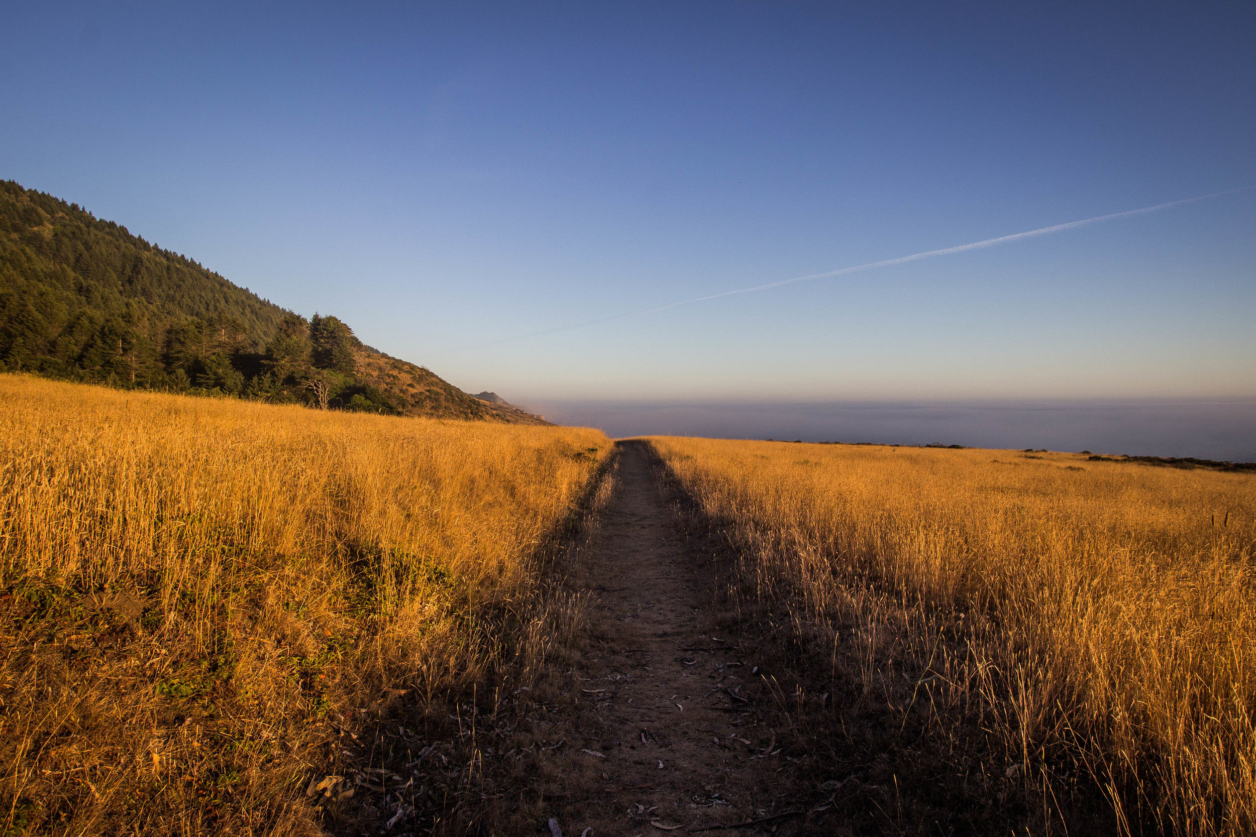 The Trail