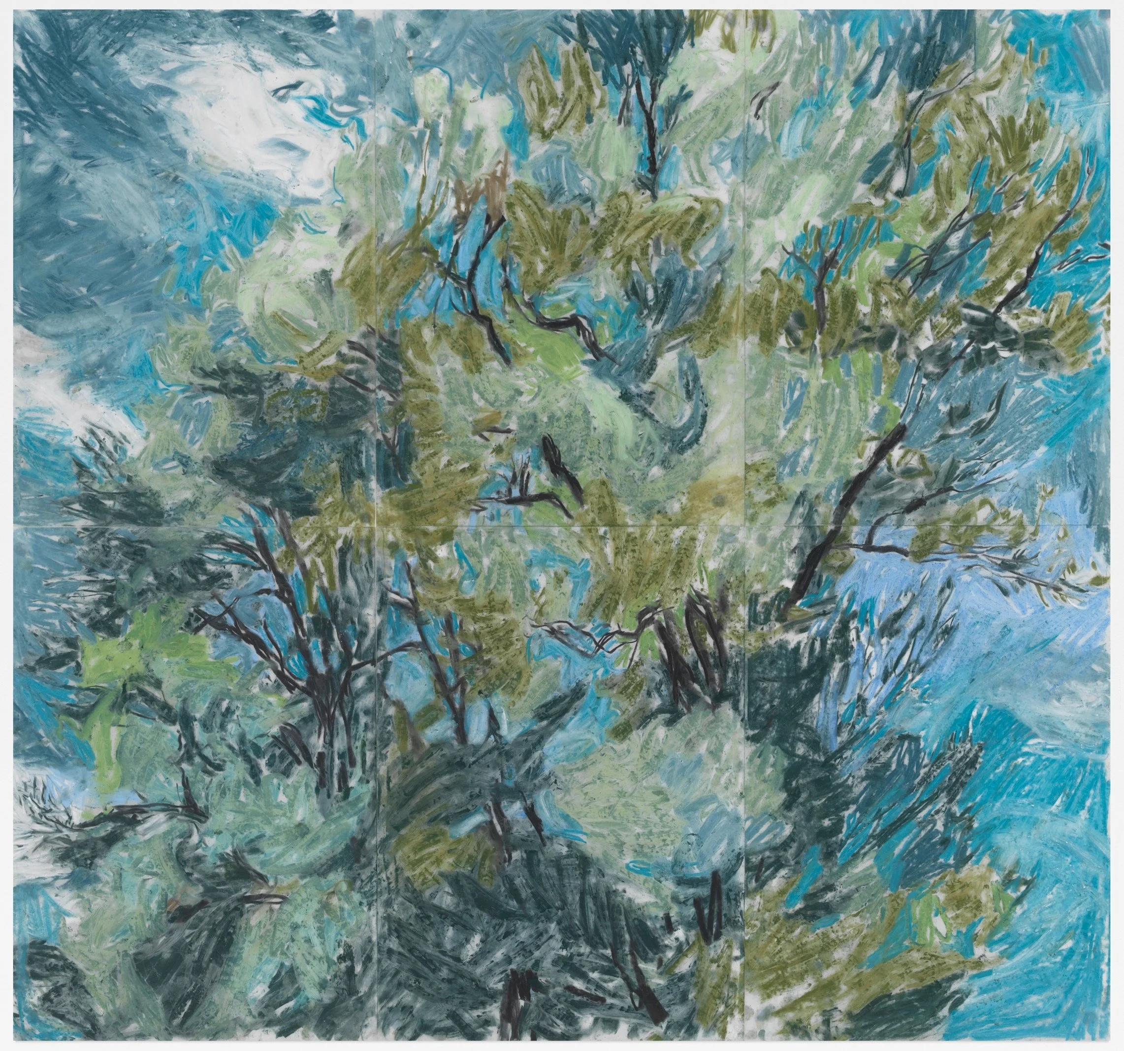 TH_250625_0086 (1).jpeg