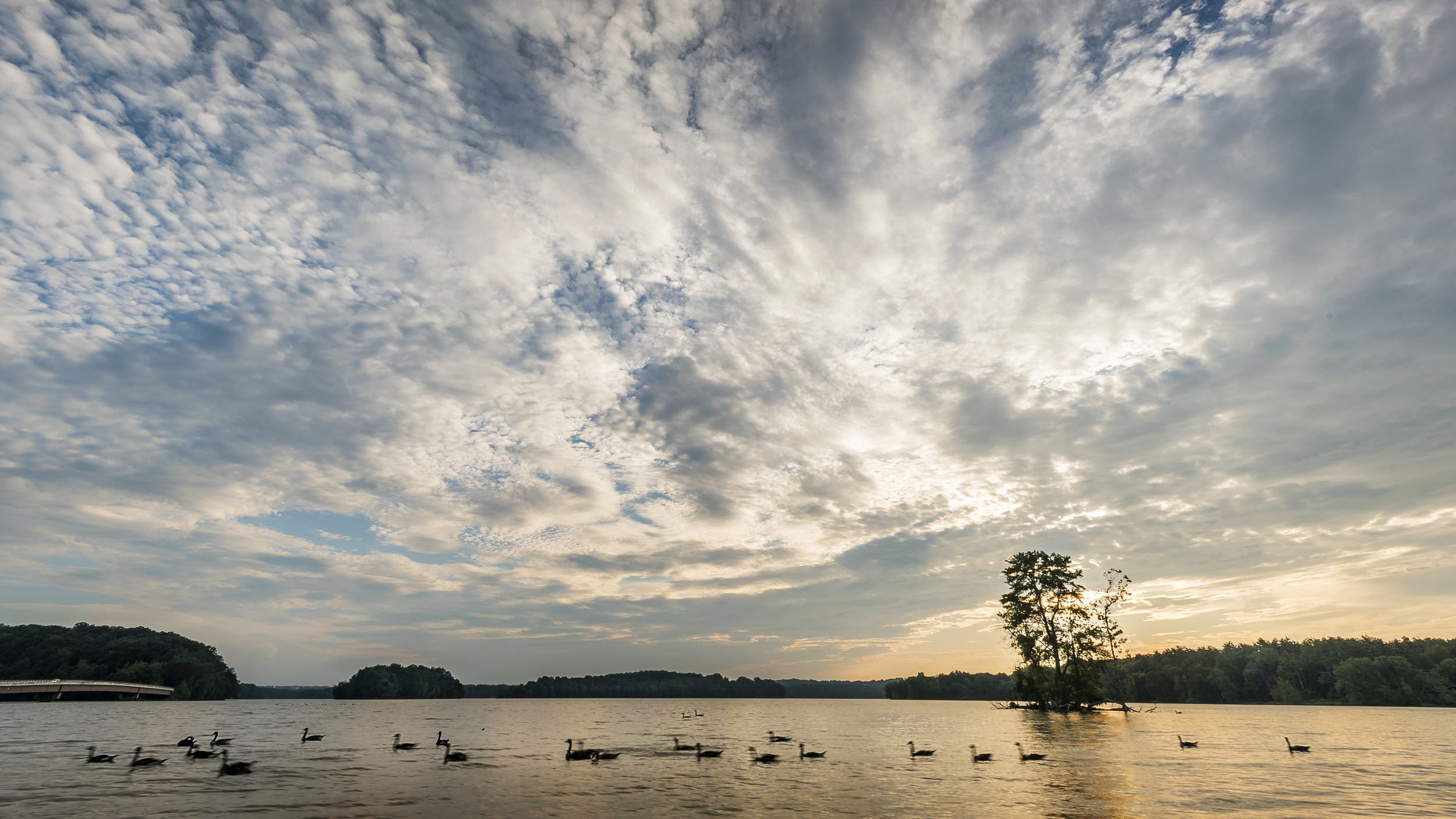 LochRaven_ccj0286 copy.jpg