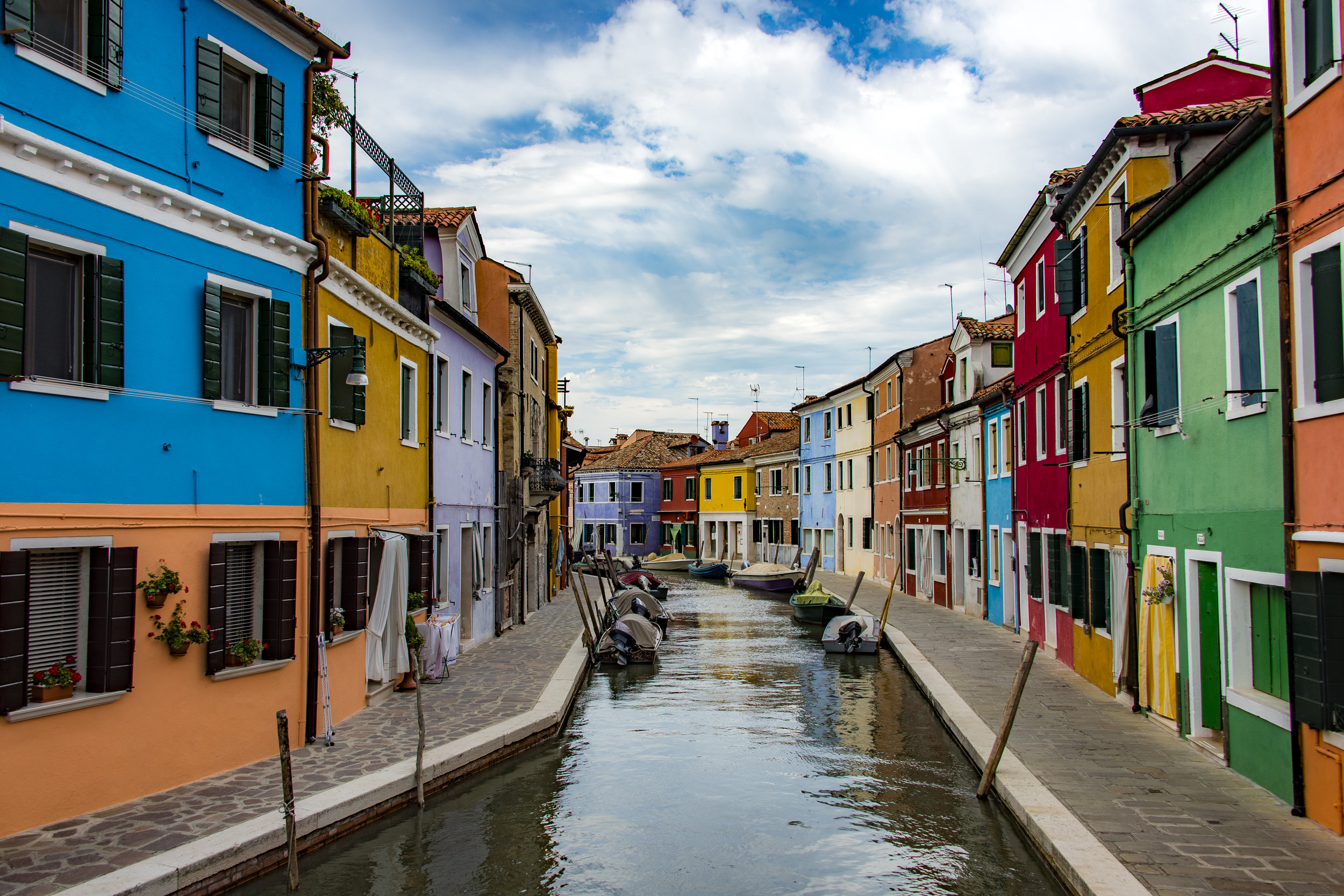 VenDay2_ccj1041 copy.jpg