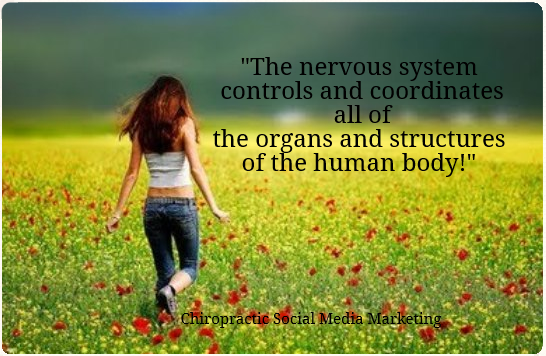 nervous system is most important