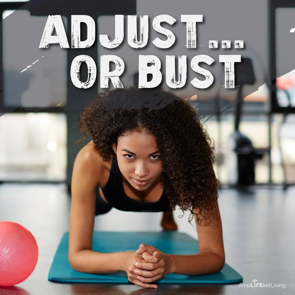 adjust or bust.jpg