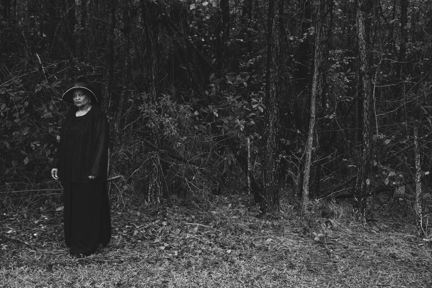 The Matriarch