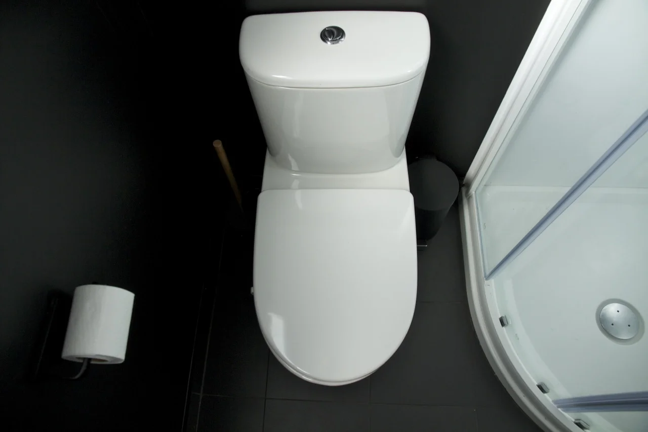 Pearson and Projects Bathroom Toilet.jpg