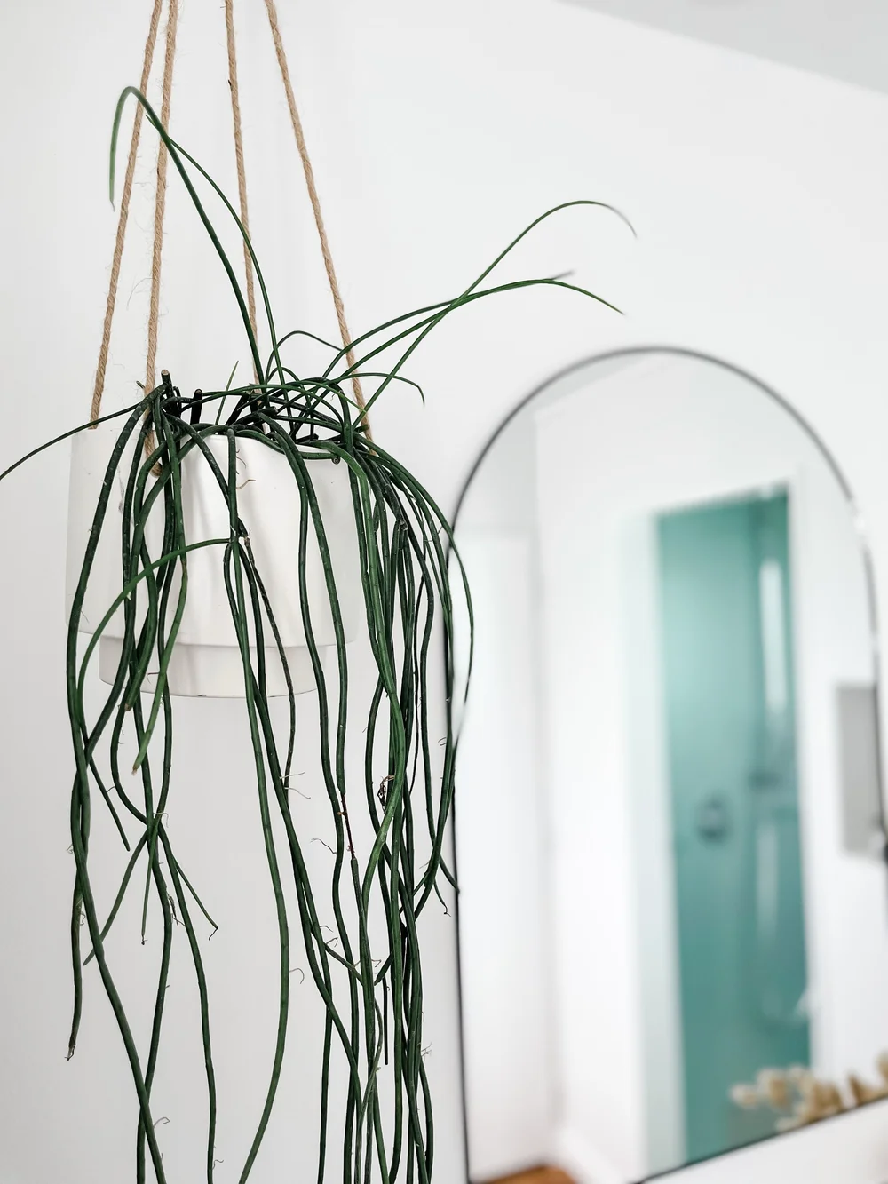 Pearson and Project Farmstead Cottage Bathroom Laundry Budget Farmhouse - 18.jpeg