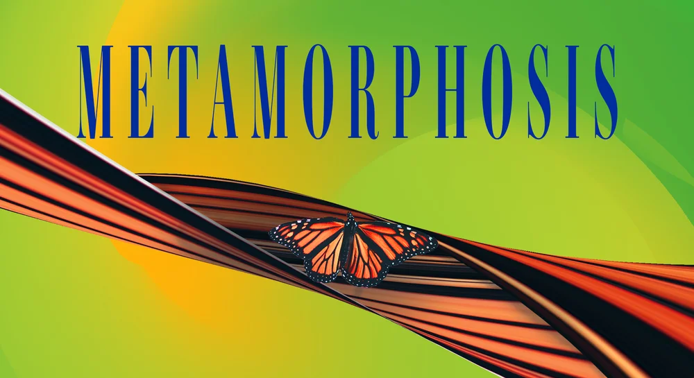 MetamorpHD.jpg