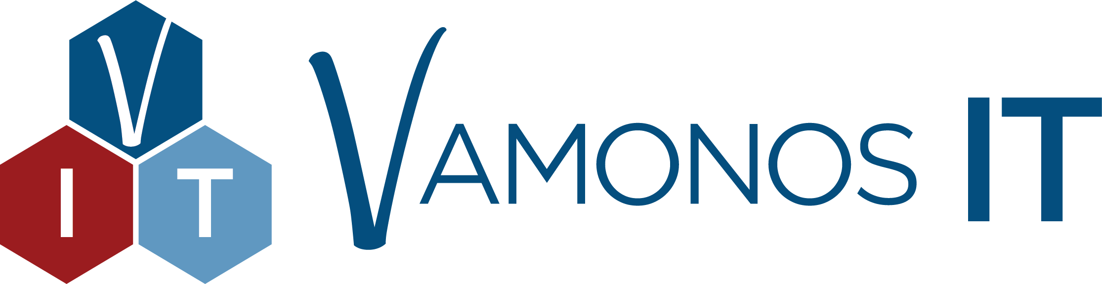 Vamonos IT Logo.png