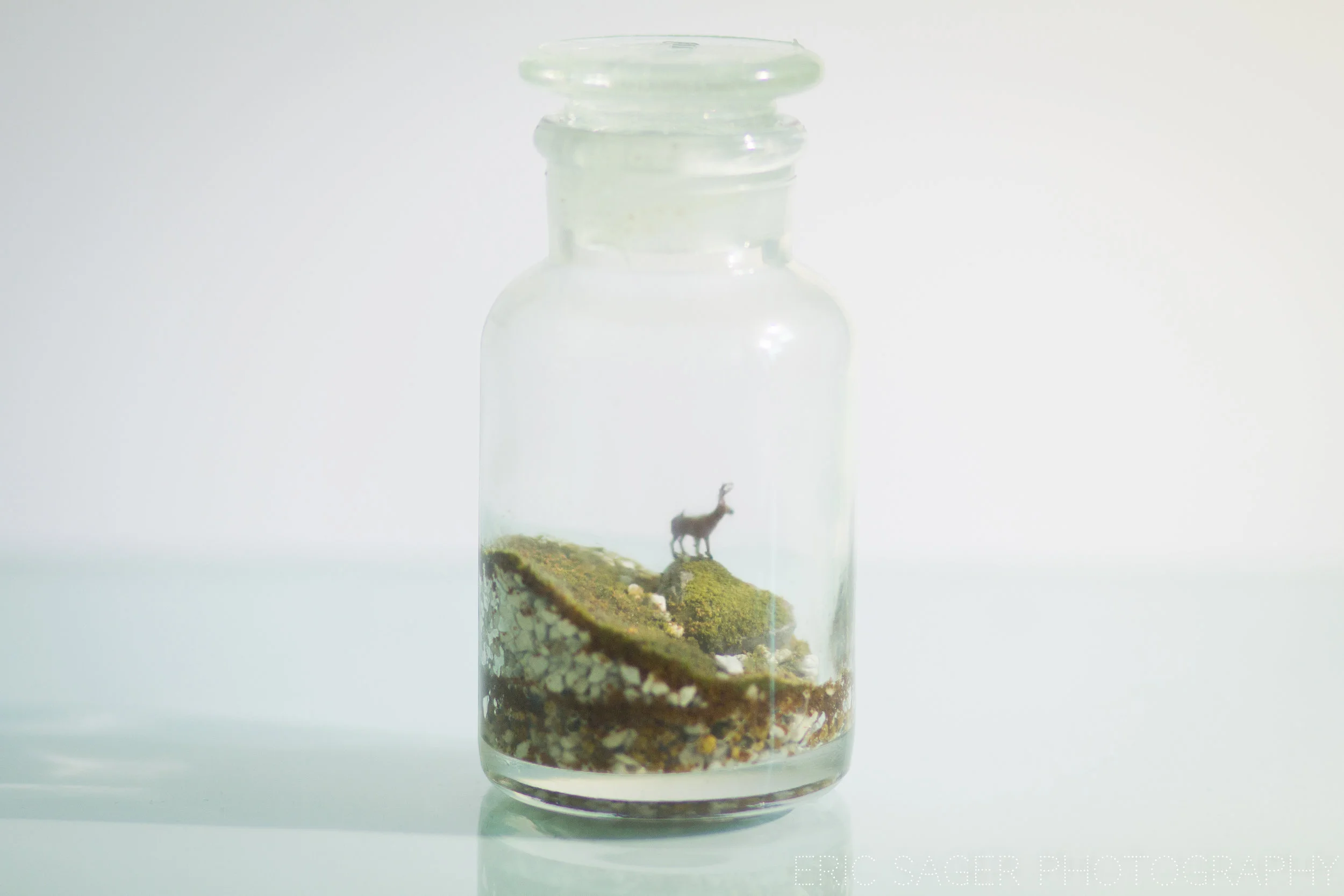 bottle2-2.jpg