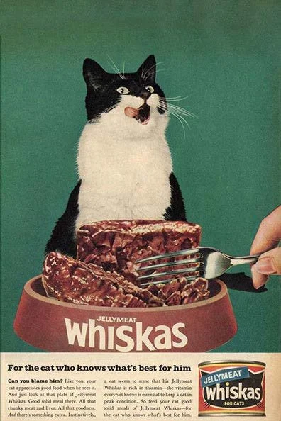 Juxtapawz Issue 1_Page_02.jpg