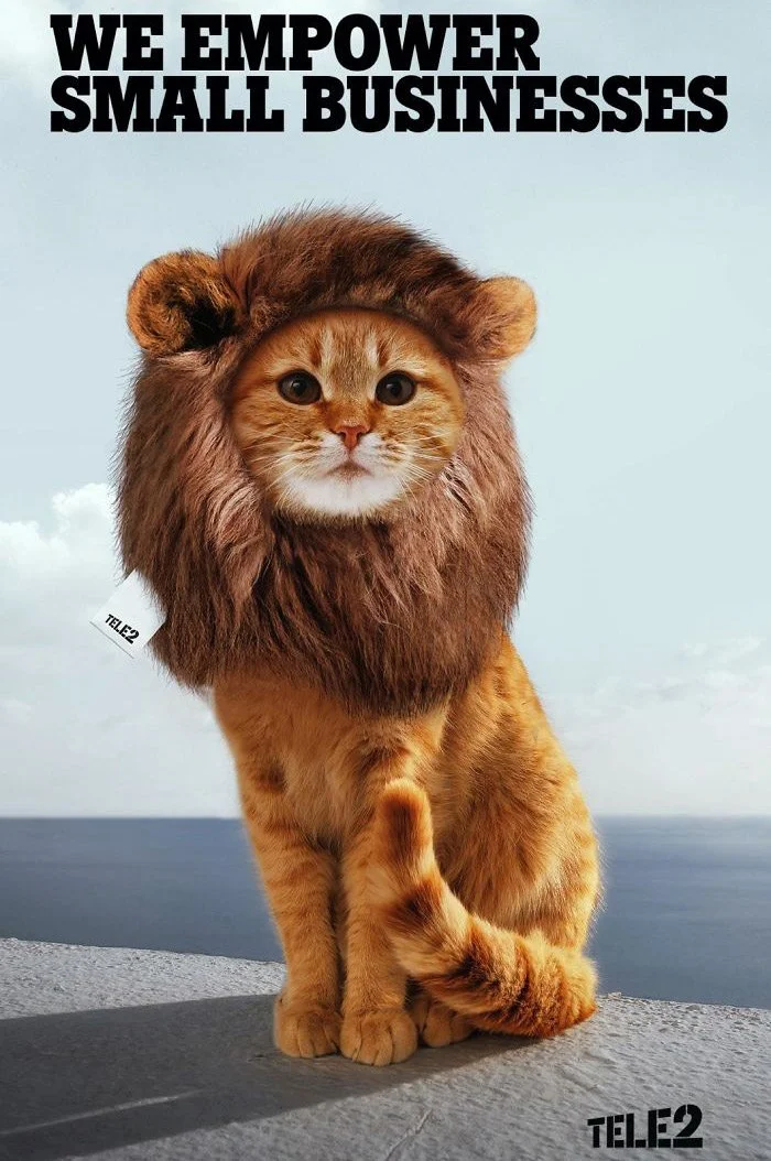 Juxtapawz Issue 1_Page_16.jpg