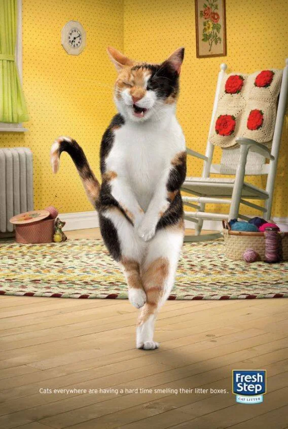 Juxtapawz Issue 1_Page_17.jpg