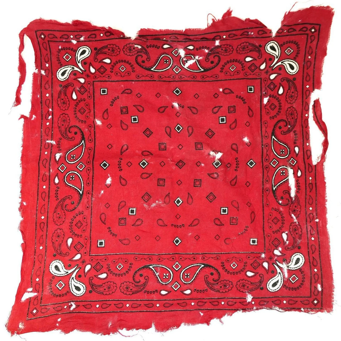 A Symbol of Solidarity: Unveiling Hub Bane's Historic Red Bandana