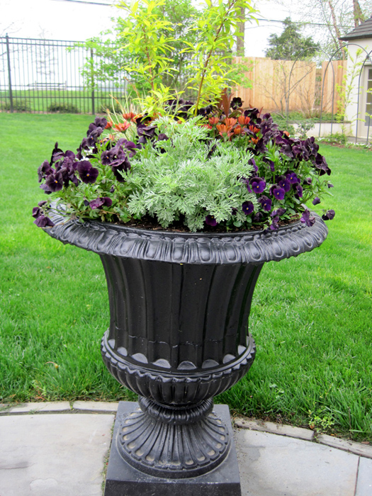 a formal urn of purple, orange, chartreuse and silver welcomes visitors.