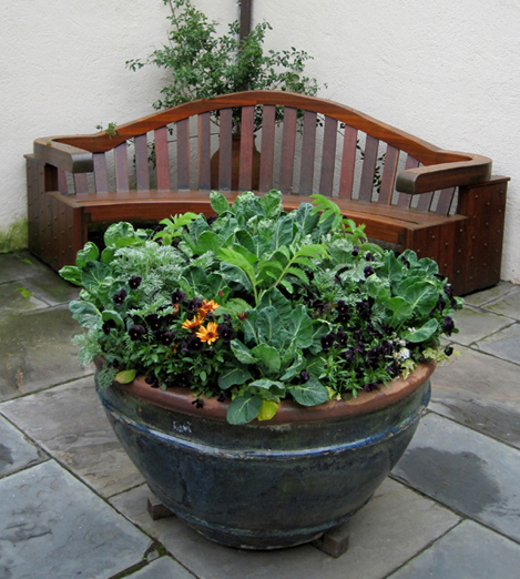 A large pot of edibles and flowers in the courtyard.