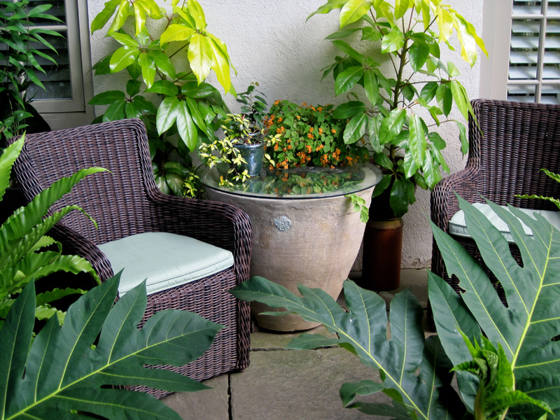 A grouping of containers surrounds a cozy seating nook tucked in at the side of the house.