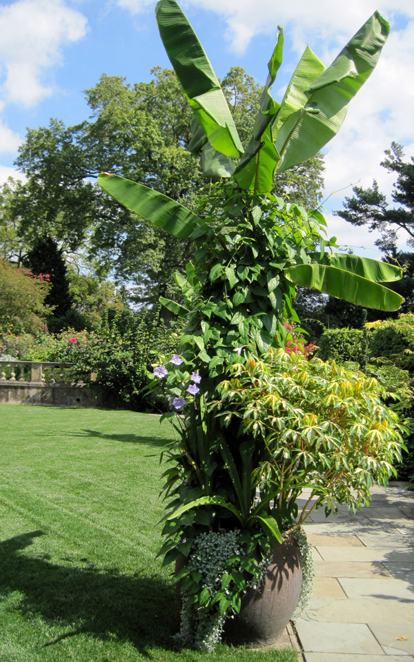 Chanticleer's Fabulous Fall Containers — Enchanted Gardens