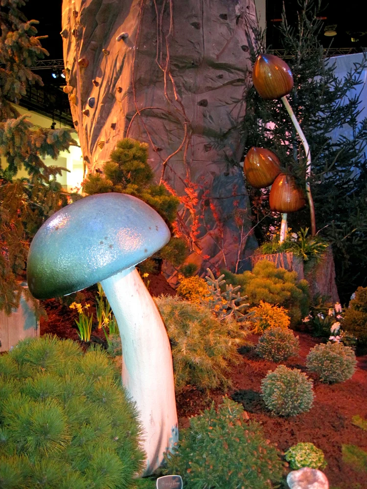 Whimsical mushrooms surround a climbing wall.
