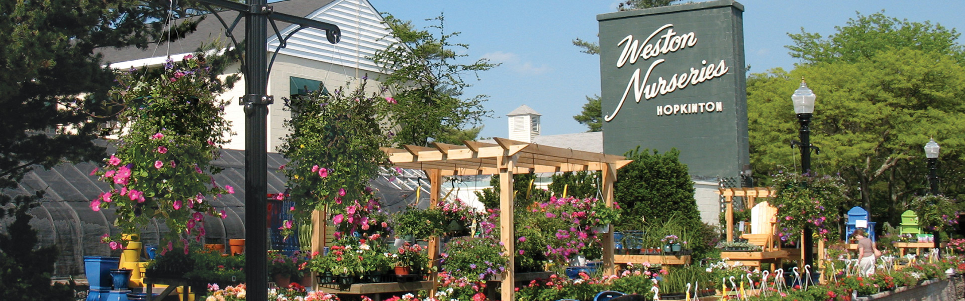 Weston Nurseries
