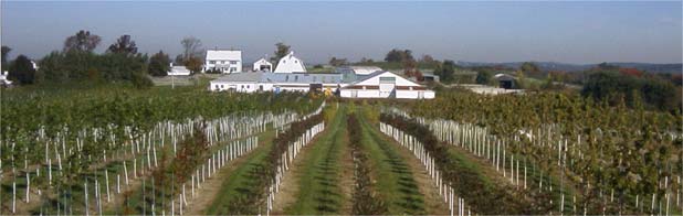 Bigelow Nurseries