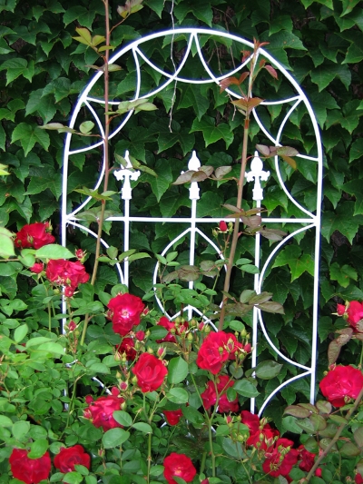 The Quest for the Perfect Rose — Enchanted Gardens