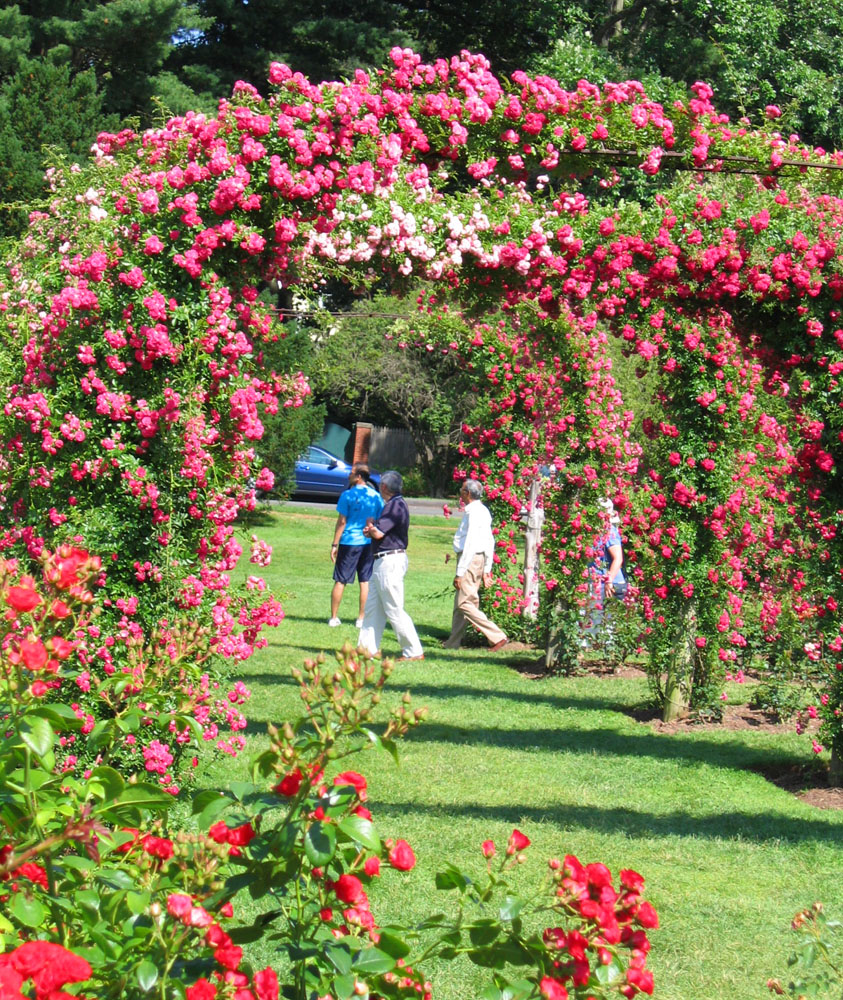 Elizabeth Park Rose Garden Entrance