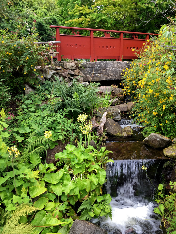 The Chinese Hillside is the result of plant hunter George Forrest's seven trips to Yunnan between 1904 and 1932. Winding paths, a waterfall, bridge and pavilion are placed among 16,000 plants collected from Yunnan, many rare and endangered.