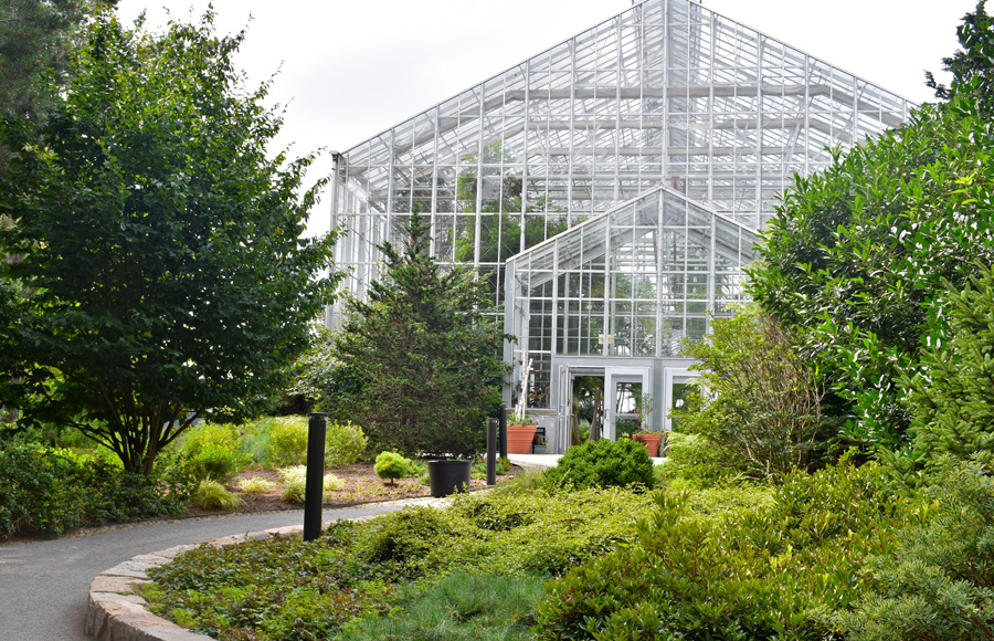 Come In From The Cold At The Roger Williams Botanical Center