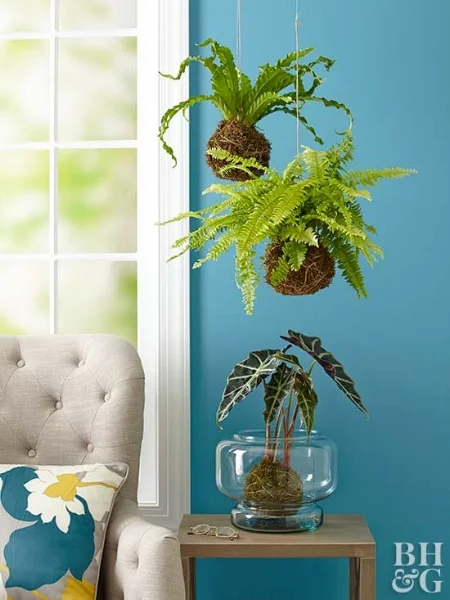 better homes & gardens