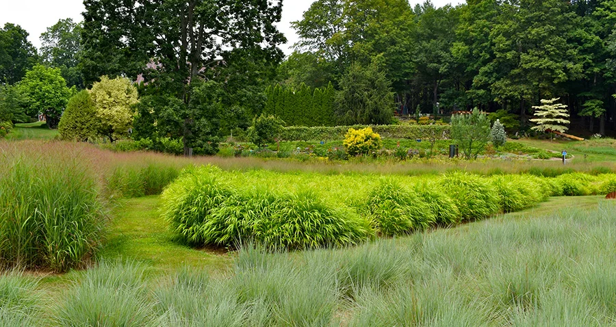 "Grass Painting" at Bedrock Gardens.