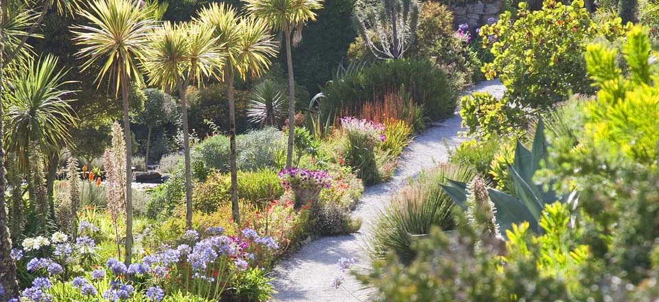 photo courtesy of tresco.co.uk