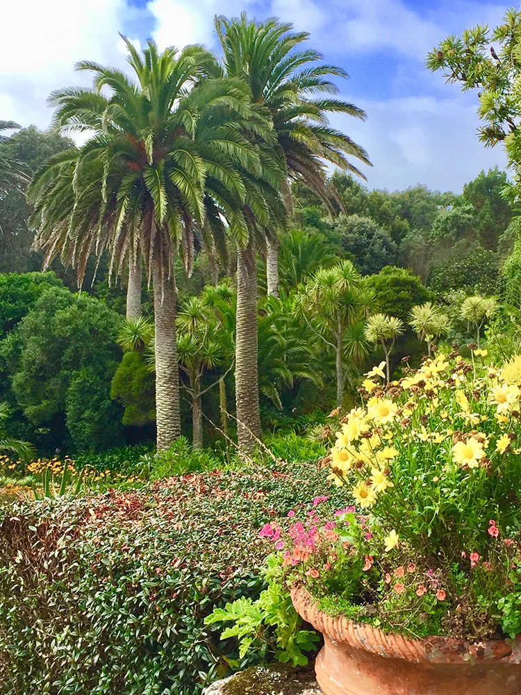 Blog — Enchanted Gardens