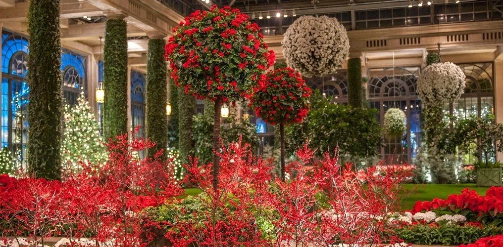 118414_Garden_Highlights_Marketing_Davis_Harold_Hank_Longwood_Volunteer_Photographer_.jpg