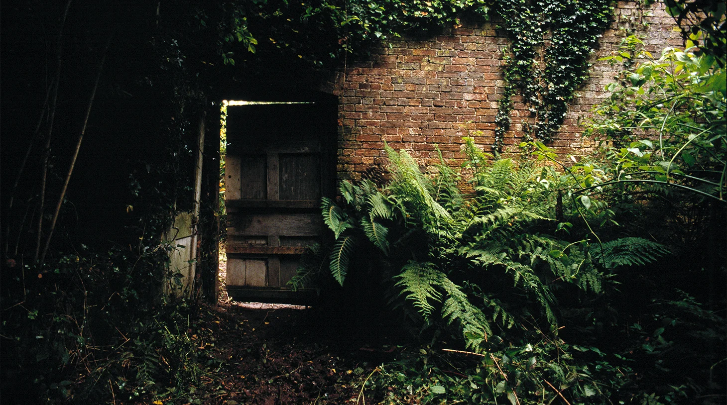 the-lost-gardens-of-heligan-cornwall-door.jpg