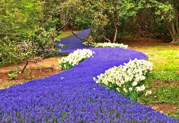 Heritage Museums & Gardens