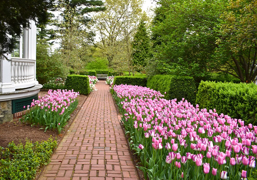 Frelinghuysen Arboretum