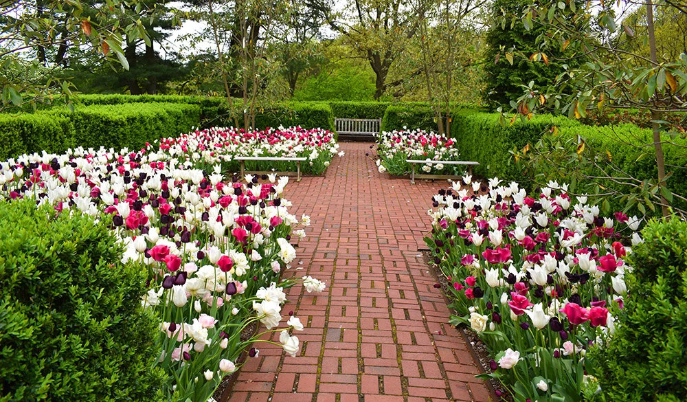 Frelinghuysen Arboretum
