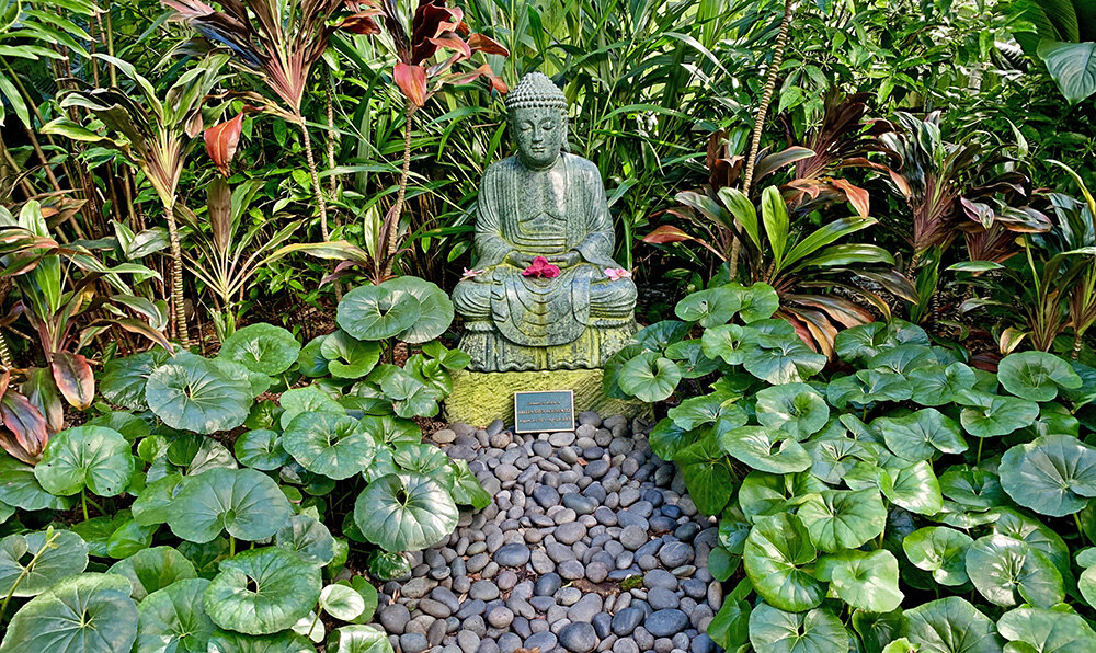 Blog Enchanted Gardens