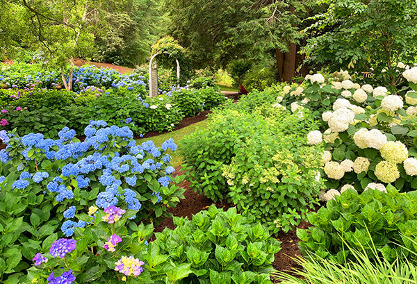 Blog Enchanted Gardens, Angie’s List Landscapers