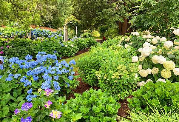 Our Mother's Garden - Dyck Arboretum